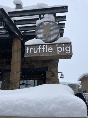 Truffle Pig by null