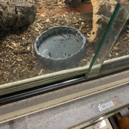 Empty and dirty water dish. Water doesn't evaporate in a dish like this over night Empty and dirty water dish. Water doesn't evaporate in a dish like this over night