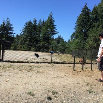 Lynndale Off Leash Dog Area - Small/Shy Dog Enclosure - Dog Parks Near Me - Edmonds, Washington Lynndale Off Leash Dog Area - Small/Shy Dog Enclosure - Dog Parks Near Me - Edmonds, Washington