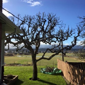 DJ's Lawn & Yard Maintenance - Snow Removal Near Me - Campbell River, British Columbia DJ's Lawn & Yard Maintenance - Snow Removal Near Me - Campbell River, British Columbia
