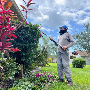 Tampa Yard Team - We shaping hedges and small trees. - Lawn Services Near Me Tampa Yard Team - We shaping hedges and small trees. - Lawn Services Near Me