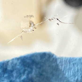 Safelite AutoGlass - Windshield repair - Auto Glass Services Near Me - Crest Hill, Illinois