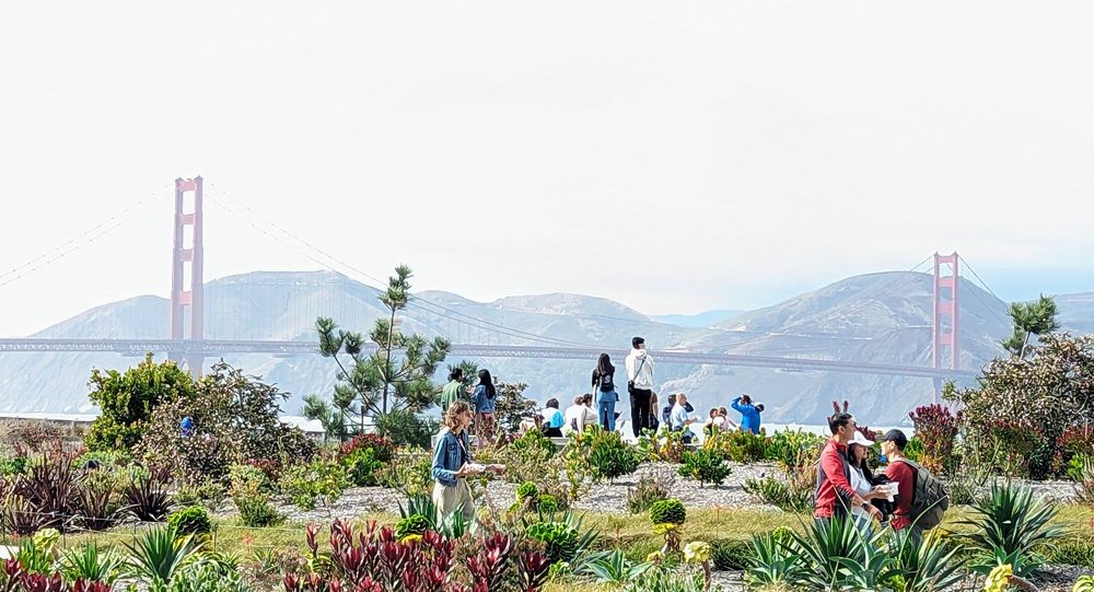 The Presidio