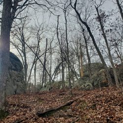 Pickle Springs Natural Area