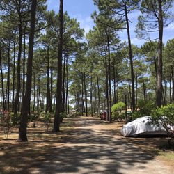 Camping Municipal