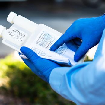 Protection Termite Control - Professional and knowledgable! - Pest Control Near Me - Glendale, Arizona Protection Termite Control - Professional and knowledgable! - Pest Control Near Me - Glendale, Arizona