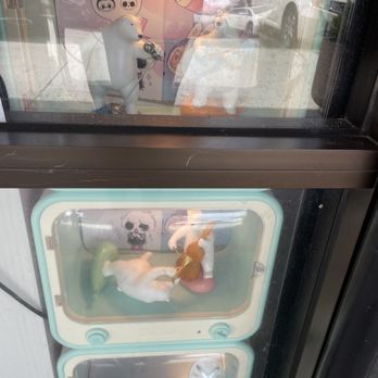 Polar Bear Rolled Ice Cream - Decor - Ice Cream & Frozen Yogurt Near Me - Union City, California Polar Bear Rolled Ice Cream - Decor - Ice Cream & Frozen Yogurt Near Me - Union City, California