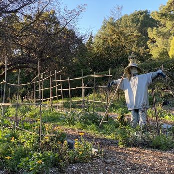 Blake Garden - Parks Near Me - Kensington, California
