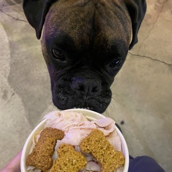 B Side Cafe - Pup-Cuterie! Proceeds are donated to the local human society - Sandwiches Near Me - Eureka Springs, Arkansas