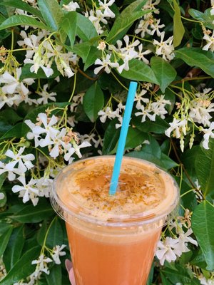 Happy Day Juice Co. by null