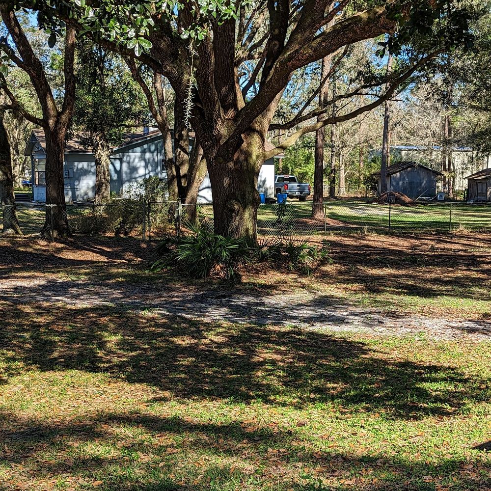 EJR - Tree Services Near Me - Brooksville, Florida