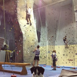 The Ultimate Climbing Gym - This is our Top Rope and Lead climbing room!