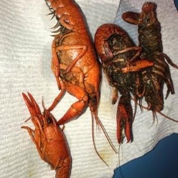 Cajun Crawfish - Cajun/Creole Near Me - Houston, Texas