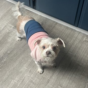 Aloha Dog Grooming - Pet Groomers Near Me Aloha Dog Grooming - Pet Groomers Near Me