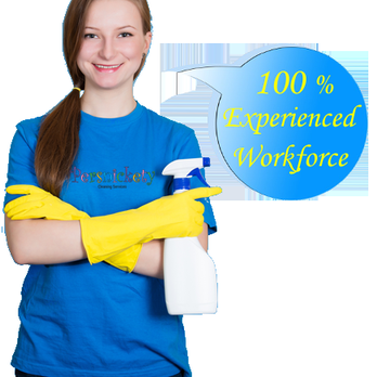 Persnickety Cleaning Services - High Quality Cleaning Services - Home Cleaning Near Me Persnickety Cleaning Services - High Quality Cleaning Services - Home Cleaning Near Me