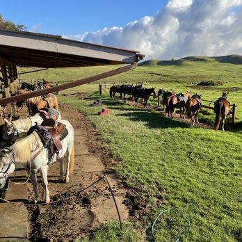 Paniolo Adventures - Horseback Riding Near Me Paniolo Adventures - Horseback Riding Near Me