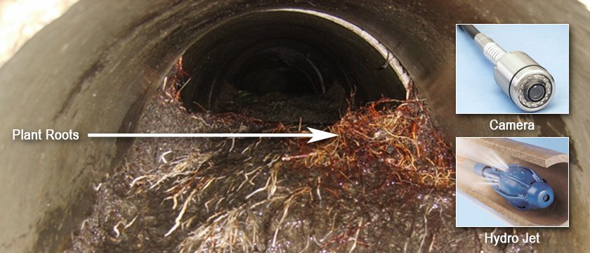 Slide of Drain Cleaners
