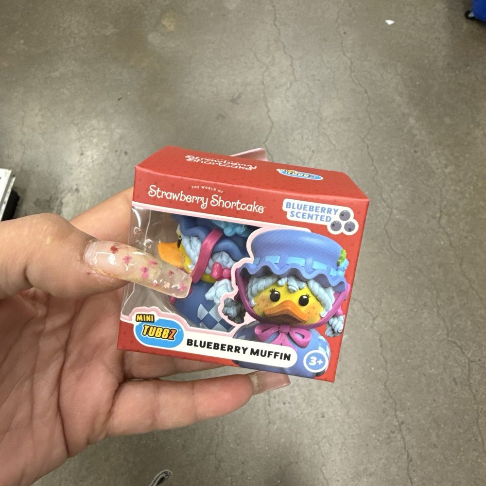 Five Below - Strawberry Shortcake - Discount Store Near Me - Bronx, New York