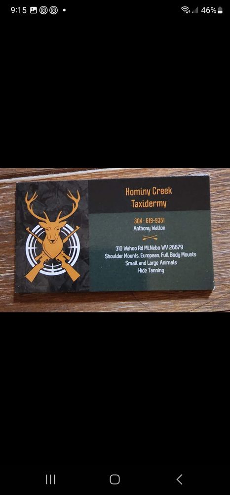 Hominy Creek Taxidermy - taxidermy in Mount Nebo, WV
