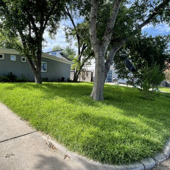 Mr.Scapes - the front yard of a house - Tree Services Near Me Mr.Scapes - the front yard of a house - Tree Services Near Me