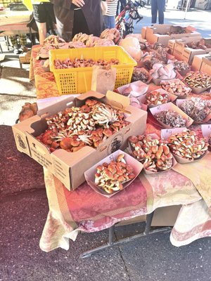 Hollywood Farmers Market by null