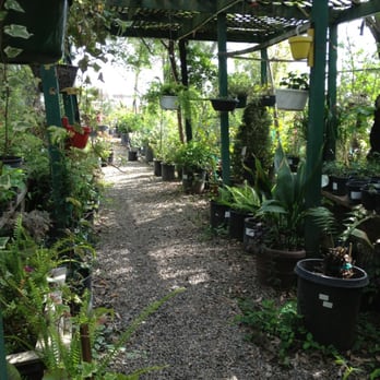 Stan & Bev's Country Nursery - Nurseries & Gardening Near Me - Manteca, California Stan & Bev's Country Nursery - Nurseries & Gardening Near Me - Manteca, California