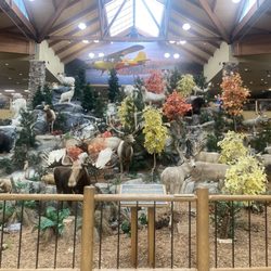 Cabela's