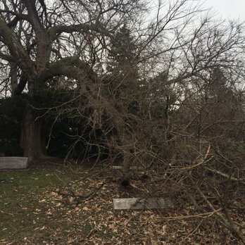 Saint Luke Cemetery - Funeral Services & Cemeteries Near Me - Chicago, Illinois