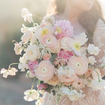 Donna Lam Photography - Session Photography Near Me
