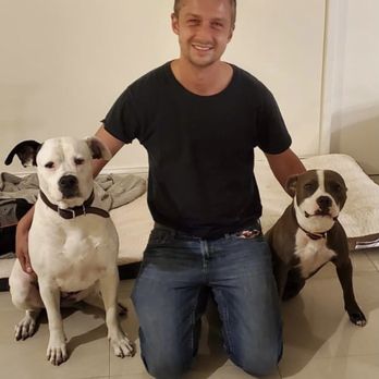My Dog Rehab - Pet Training Near Me My Dog Rehab - Pet Training Near Me