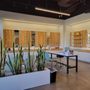 Photo of Resolution Eyecare