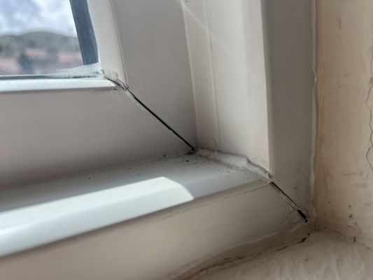 Andersen Windows by null