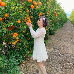Fresno County Fruit Trail