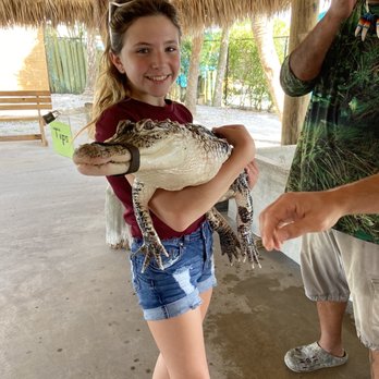 Everglades Excursions - Tours Near Me - Naples, Florida Everglades Excursions - Tours Near Me - Naples, Florida