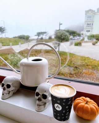 Andytown Coffee Roasters by null
