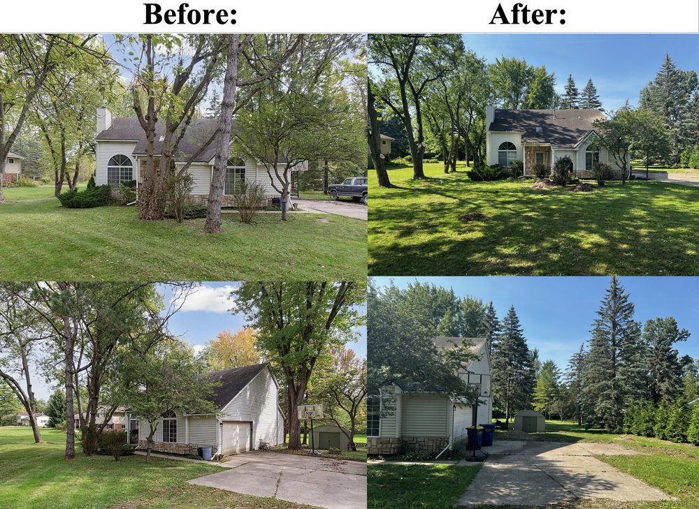 Adrian's Tree Service - tree service in Walled Lake, MI