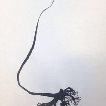 Pratt Fine Arts Center - In the Matisse class, we painted using dried reeds for brushes! This is a dried piece of kelp with the holdfast at the bottom. - Art Schools Near Me - Seattle, Washington Pratt Fine Arts Center - In the Matisse class, we painted using dried reeds for brushes! This is a dried piece of kelp with the holdfast at the bottom. - Art Schools Near Me - Seattle, Washington