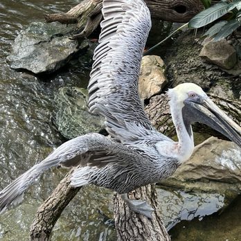 National Aviary - Zoos Near Me - Pittsburgh, Pennsylvania