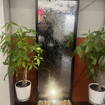Yellow Handi Indian Cuisine - Water feature - Indian Near Me - Conyers, Georgia
