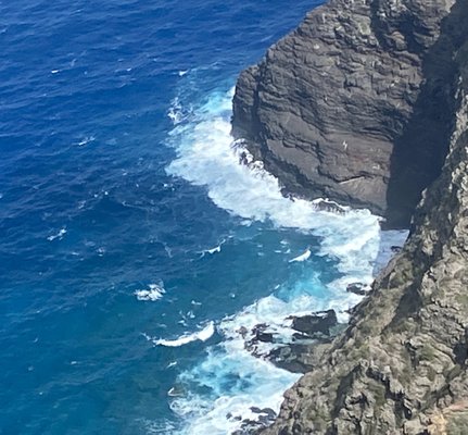 Blue Hawaiian Helicopters by null
