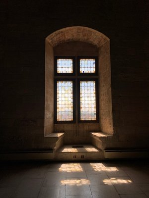 Musée du Petit Palais by null