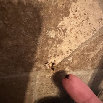 Tippy Toe’s Cleaning - Tile behind kitchen faucet - Home Cleaning Near Me