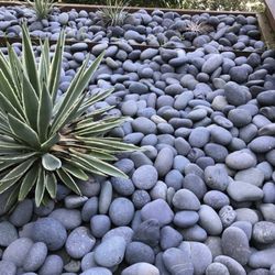 Reyes Gardening Service - Planting gravel pebbles stones