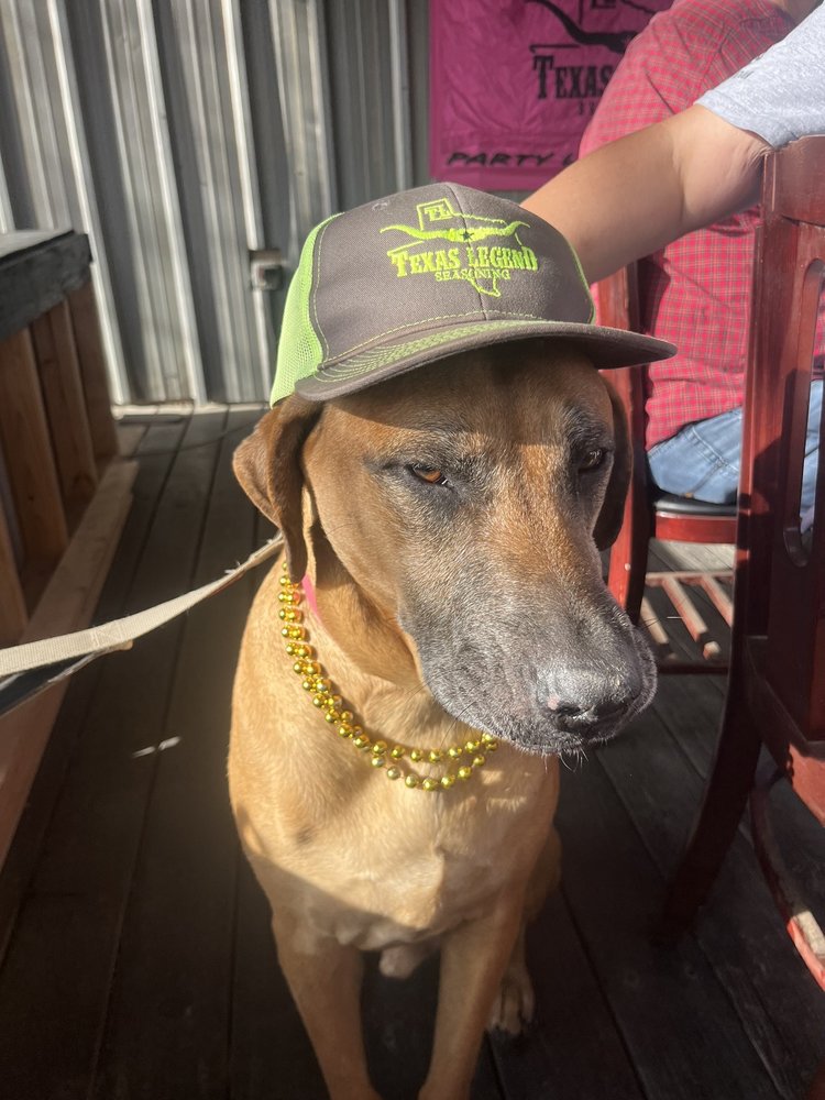 TEXAS LEGEND SEASONING Updated May 2024 2400 Blalock Rd, Houston