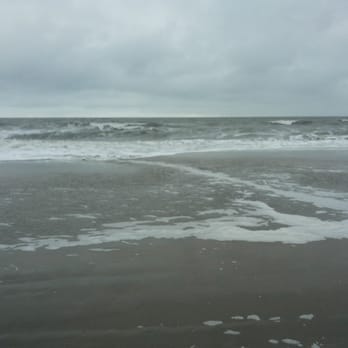 Blu Beach - Seafood Near Me - Noordwijk, ZH