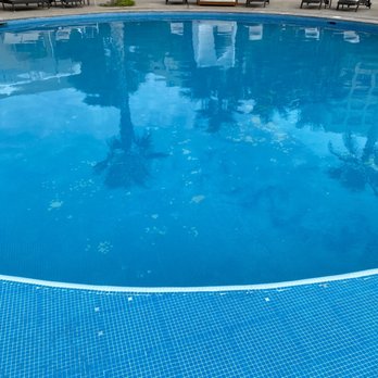 Mayan Palace - Travel Services Near Me - Heroica Guaymas, SON Mayan Palace - Travel Services Near Me - Heroica Guaymas, SON