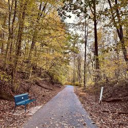 Trolley Trail