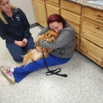 Conneaut Creek Veterinary Clinic - If you ever wonder about what is happening in the back with your pet... this is what is happening. We love your pets as if they were ours! - Veterinarians Near Me - Conneaut, Ohio Conneaut Creek Veterinary Clinic - If you ever wonder about what is happening in the back with your pet... this is what is happening. We love your pets as if they were ours! - Veterinarians Near Me - Conneaut, Ohio