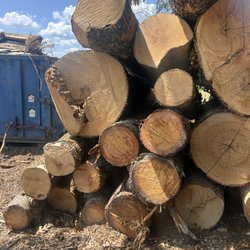 2 The T Tree Service