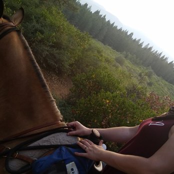 VS Equine - Horseback Riding Near Me VS Equine - Horseback Riding Near Me